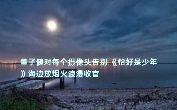 董子健对每个摄像头告别 《恰好是少年》海边放烟火浪漫收官